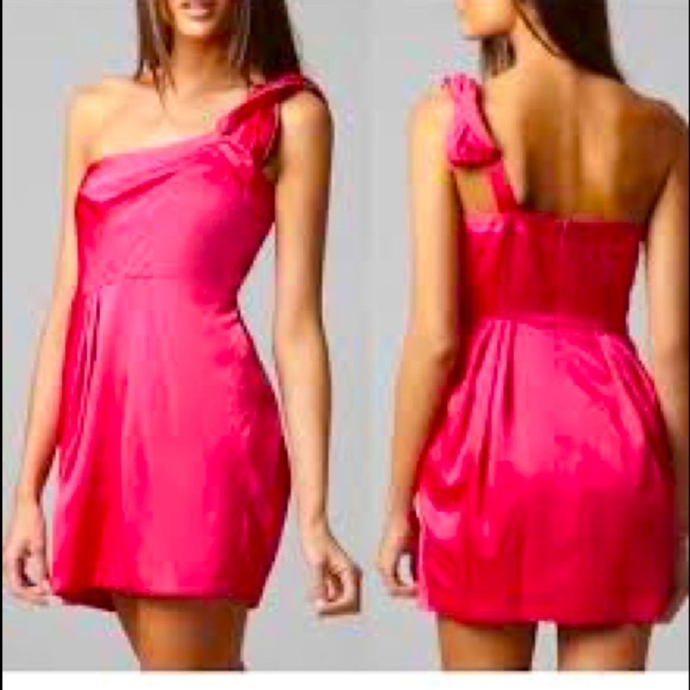 BCBG Maxazria Dress